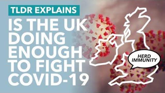 Embedded thumbnail for Why do EU member state governments differ so much in their strategies towards Covid-19?